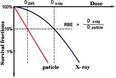 http://www.vjsonline.org/sites/default/files/fig3_5.png