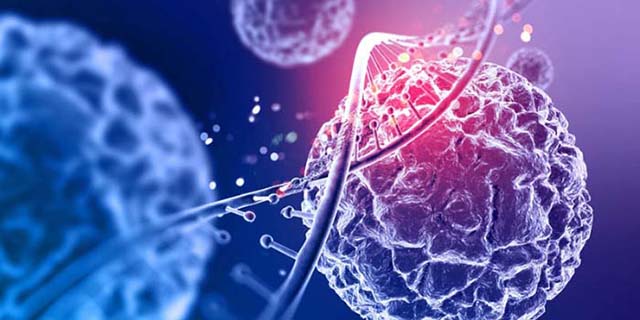 lieu-phap-te-bao-goc