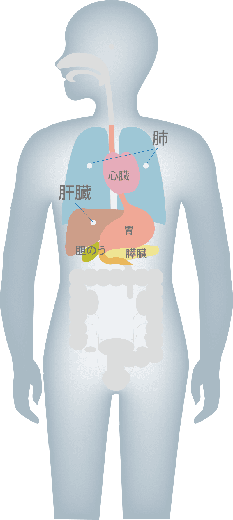 cac-dieu-kien-dieu-tri-ung-thu-bang-xa-tri-proton-tai-nhat-ban