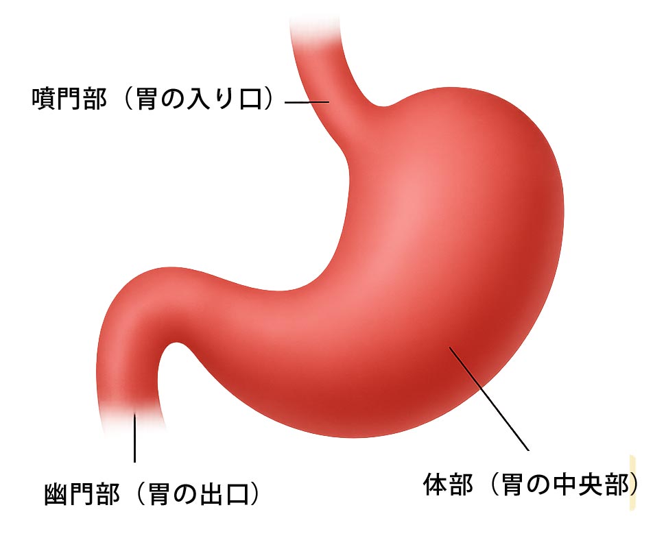 dieu-tri-benh-ly-da-day-tai-nhat-ban-chan-doan-chinh-xac-dieu-tri-chuyen-sau