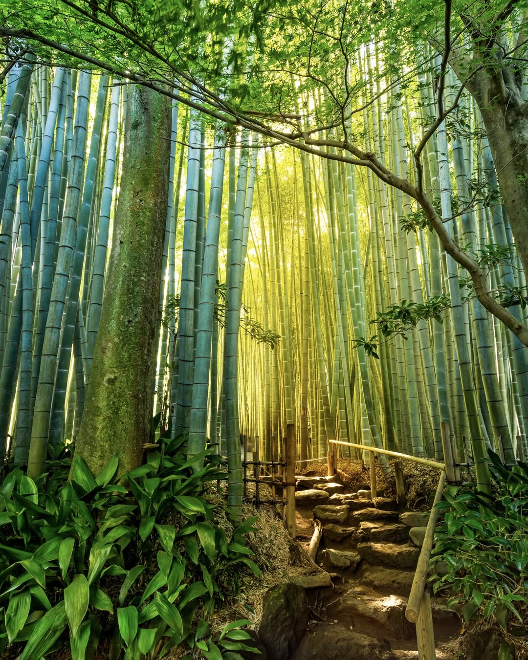 tour-du-lich-nhat-hanh-trinh-vang-he