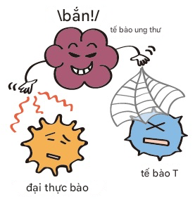 Đại thực bào bị ảnh hưởng bởi tế bào ung thư