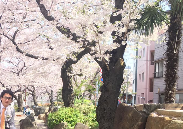 tour-du-lich-ngam-hoa-anh-dao-ket-hop-kham-chua-benh-4-ngay-3-dem-tai-nhat-ban