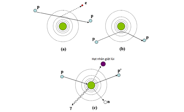 http://www.vjsonline.org/sites/default/files/fig1_10.png