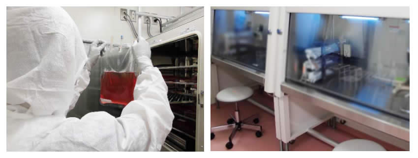 Liệu ph&aacute;p tế b&agrave;o