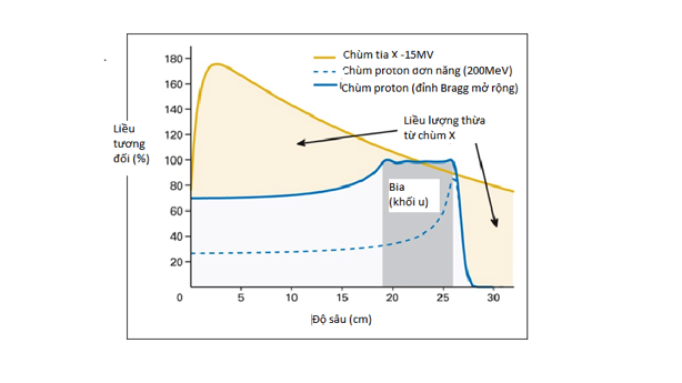 http://www.vjsonline.org/sites/default/files/fig2_7.png