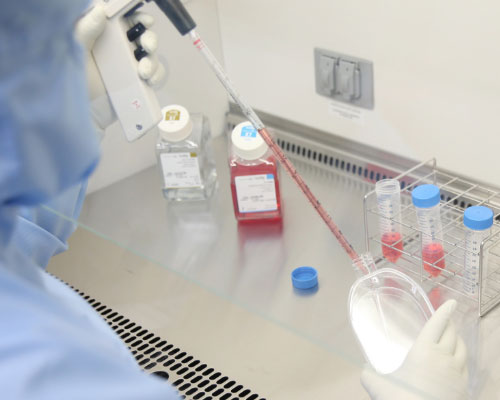 lieu-phap-te-bao-nk-tai-nhat-ban-tang-cuong-mien-dich-ho-tro-phong-ngua-ung-thu